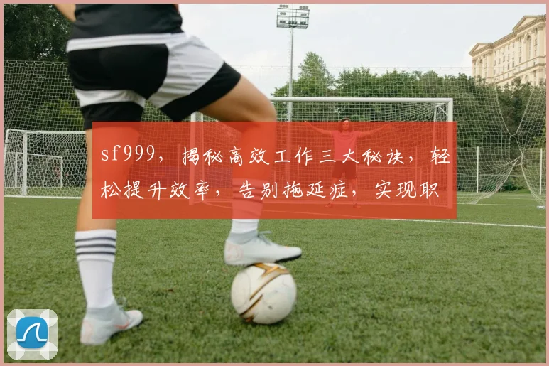 sf999，揭秘高效工作三大秘诀，轻松提升效率，告别拖延症，实现职场飞跃