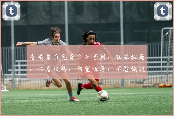 香港最准免费公开资料，独家秘籍，必看攻略，两重惊喜，不容错过