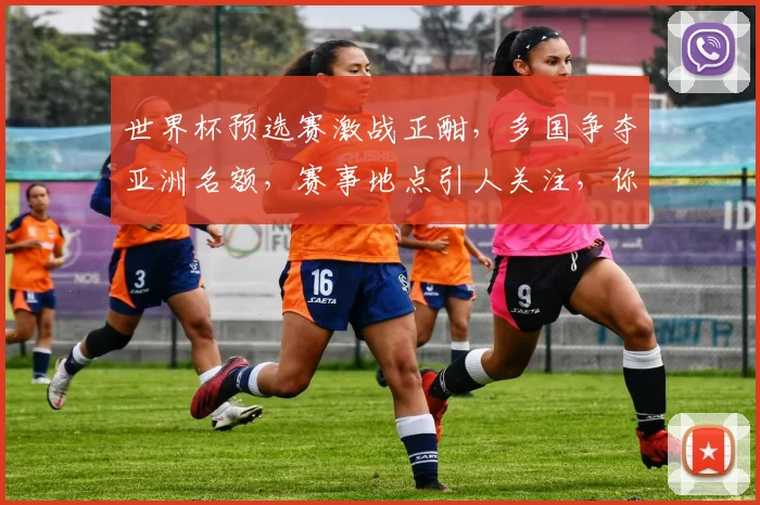 世界杯预选赛激战正酣，多国争夺亚洲名额，赛事地点引人关注，你猜会在哪里