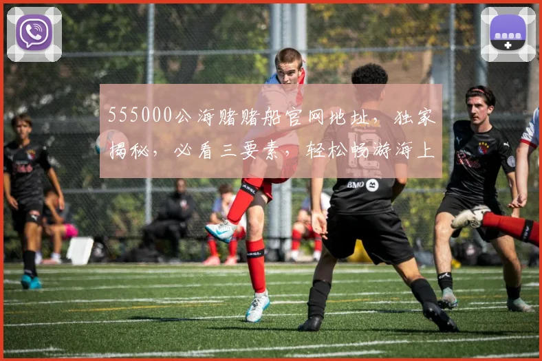 555000公海赌赌船官网地址，独家揭秘，必看三要素，轻松畅游海上娱乐