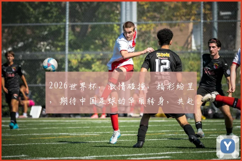 2026世界杯，激情碰撞，精彩纷呈，期待中国足球的华丽转身，共赴盛宴