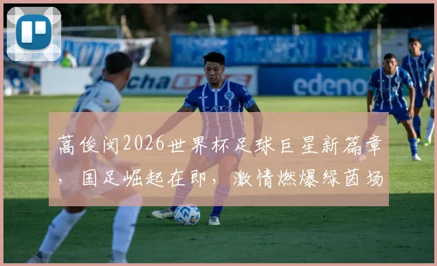 蒿俊闵2026世界杯足球巨星新篇章，国足崛起在即，激情燃爆绿茵场